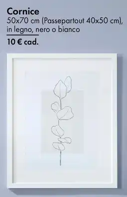 Tedi Cornice 50x70 cm offerta