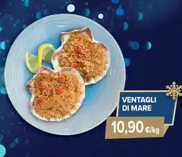 Sapore di Mare Ventagli di mare offerta
