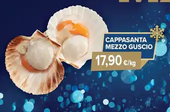 Sapore di Mare Cappasanta mezzo guscio offerta