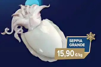 Sapore di Mare Seppia grande offerta
