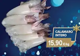 Sapore di Mare Calamaro intero offerta
