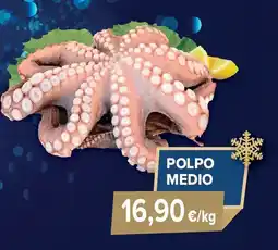 Sapore di Mare Polpo medio offerta