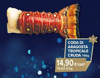 Sapore di Mare Coda di aragosta tropicale cruda offerta