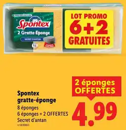 Lidl Spontex gratte-éponge offerta