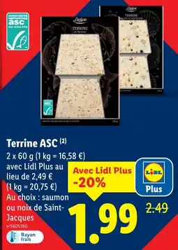 Lidl Terrine ASC offerta