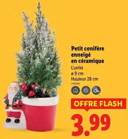 Lidl Petit conifère enneigé en céramique offerta