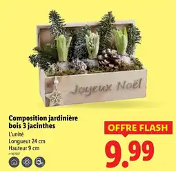 Lidl Composition jardinière bois 3 jacinthes offerta