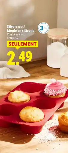 Lidl Silvercrest Moule en silicone offerta