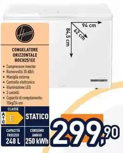 Unieuro Hoover CONGELATORE ORIZZONTALE HOCH251EE offerta