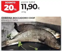 Coop Ombrina boccadoro COOP offerta