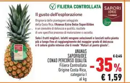 Conad Ananas Sapori&Idee Conad Percorso Qualità offerta
