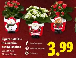 Lidl Figure natalizie in ceramica con Kalanchoe offerta
