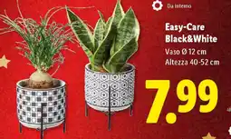Lidl Easy Care Black&White offerta