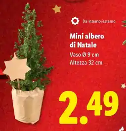 Lidl Mini albero di Natale offerta