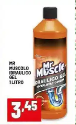 Risparmio Casa Mr muscolo idraulico gel offerta