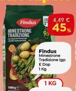 Crai Findus Minestrone Tradizione Igp E Dop offerta
