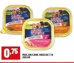 Risparmio Casa Miglior cane vaschetta offerta