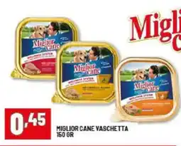 Risparmio Casa Miglior cane vaschetta offerta