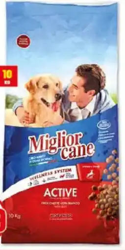 Risparmio Casa Miglior cane crocchette offerta