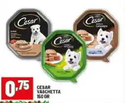 Risparmio Casa Cesar vaschetta offerta