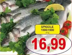 Pewex Spigole 1000/1500 offerta