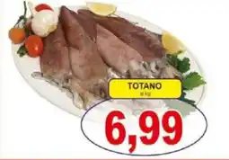 Pewex Totano offerta