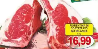 Pewex Fiorentina di costata c/o B/A irlanda offerta