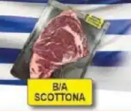 Pewex B/A scottona offerta