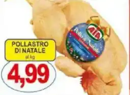 Pewex Pollastro di natale AIA offerta