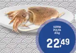 Crai Seppia pulita offerta