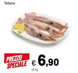 Iper La Grande Totano offerta