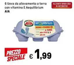 Iper La Grande 6 Uova da allevamento a terra con vitamina E Aequilibrium AIA offerta
