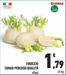 Conad City Finocchi conad percoso qualità offerta