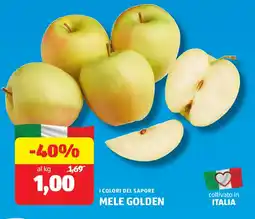 ALDI I colori del sapore mele golden offerta