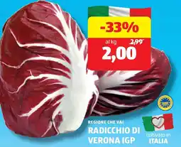 ALDI Regione che vai radicchio di verona igp offerta