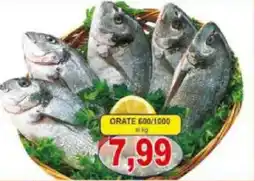 Pewex Orate 600/1000 offerta