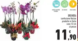 Conad Orchidea offerta