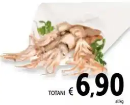 Spazio Conad Totani offerta