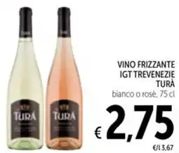 Spazio Conad Vino frizzante igt trevenezie TURÀ offerta