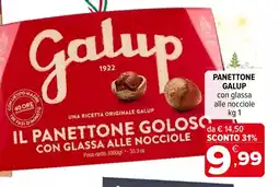 Iperal Panettone GALUP offerta