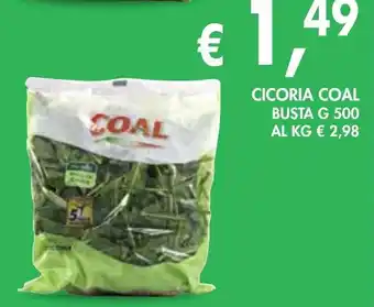 èccoMI Cicoria coal busta offerta