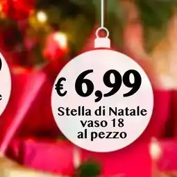èccoMI Stella di Natale vaso 18 offerta