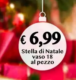 èccoMI Stella di Natale vaso 18 offerta