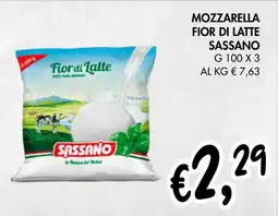èccoMI Mozzarella fior di latte SASSANO offerta