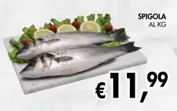 èccoMI Spigola offerta