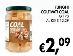 èccoMI Funghi coltivati COAL offerta