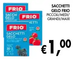 èccoMI Sacchetti gelo frio piccoli/medi/ grandi/maxi offerta