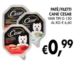 èccoMI Patè/filetti cane CESAR offerta