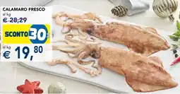 Esselunga Calamaro fresco offerta
