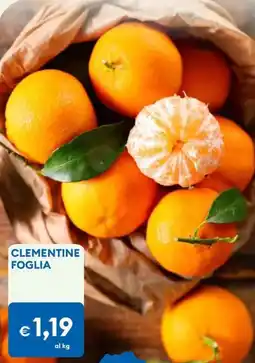 MD Discount Clementine foglia offerta